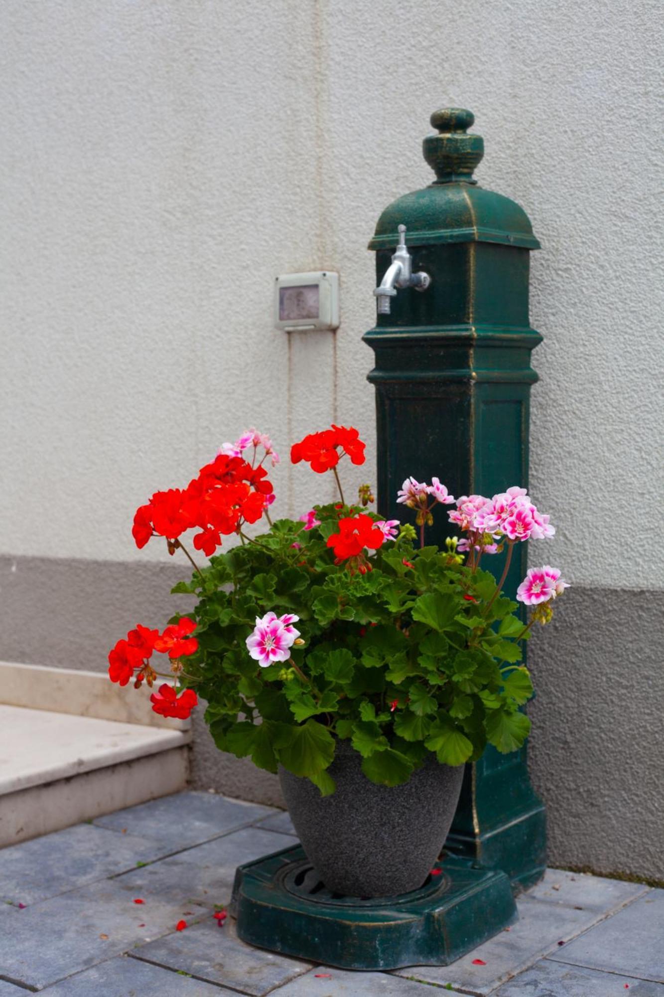 Arini White House Sibiu Exterior foto